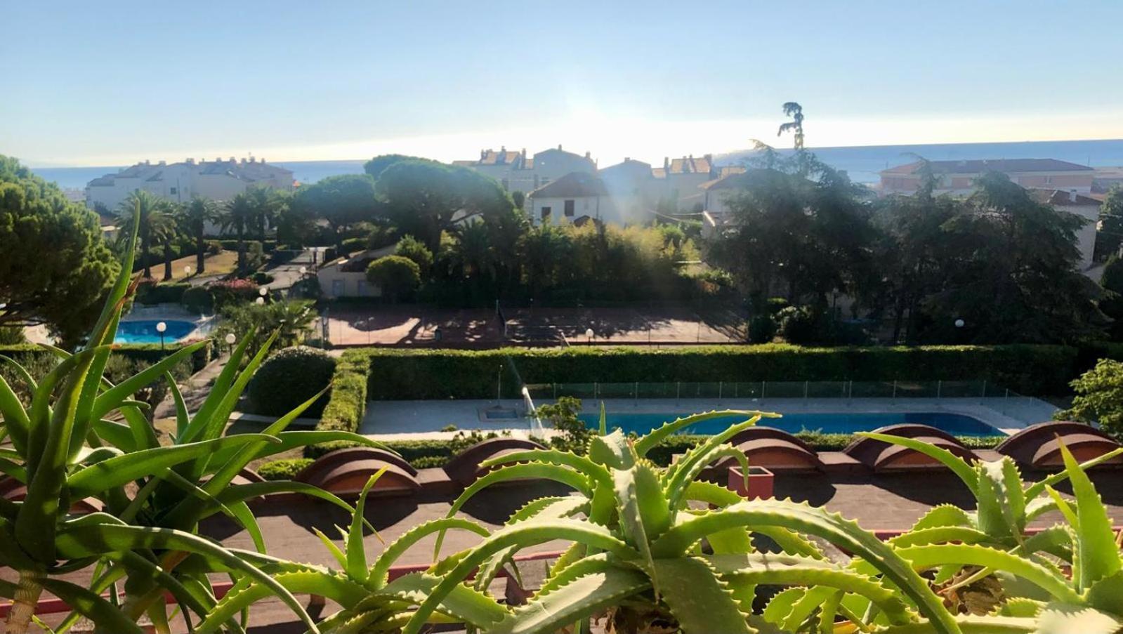 Antibes Secured Parc Velusine With Private Parking, Terrace, Pools And Tennis Courts. Exterior foto